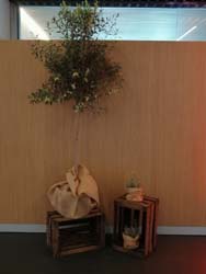 El Mercado de las Plantas